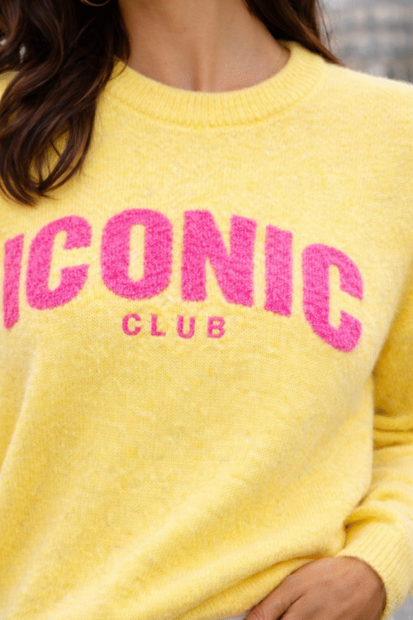 3BD44521-5769-45A3-97ED-32033F85608D Pull Iconic